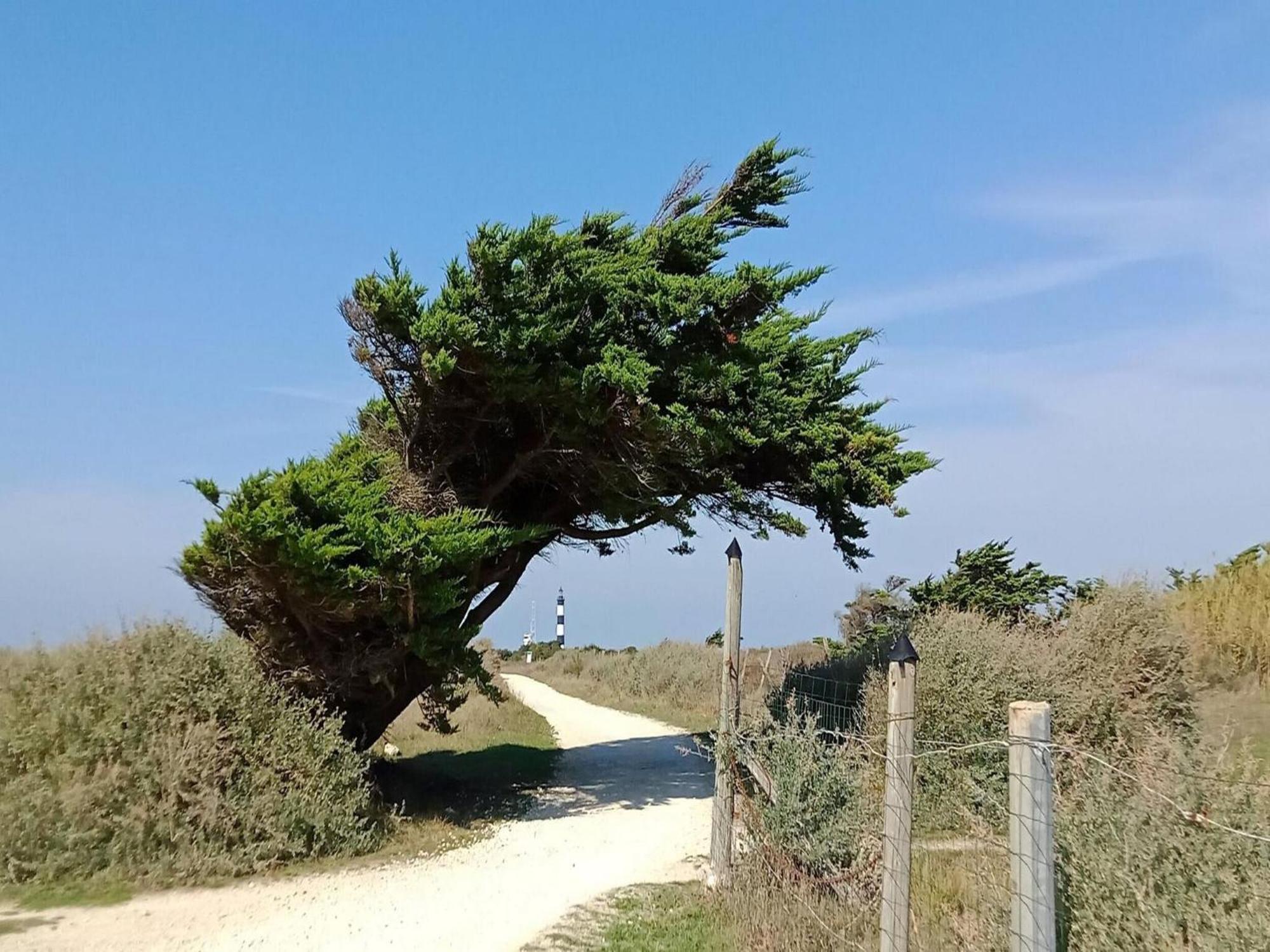 Les Hameaux Des Sables Vignie Saint Georges D Ol Ron Holiday Home Not Detached 외부 사진