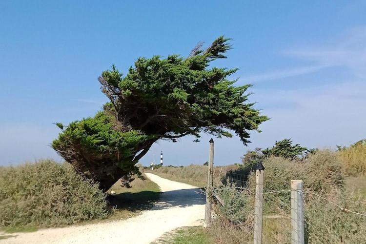 Les Hameaux Des Sables Vignie Saint Georges D Ol Ron Holiday Home Not Detached 외부 사진